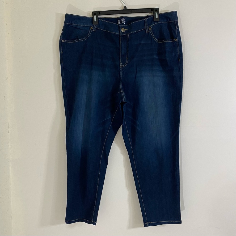 Terra & Sky Ladies Skinny Ankle Dark Wash Stretch Denim Jean 22W